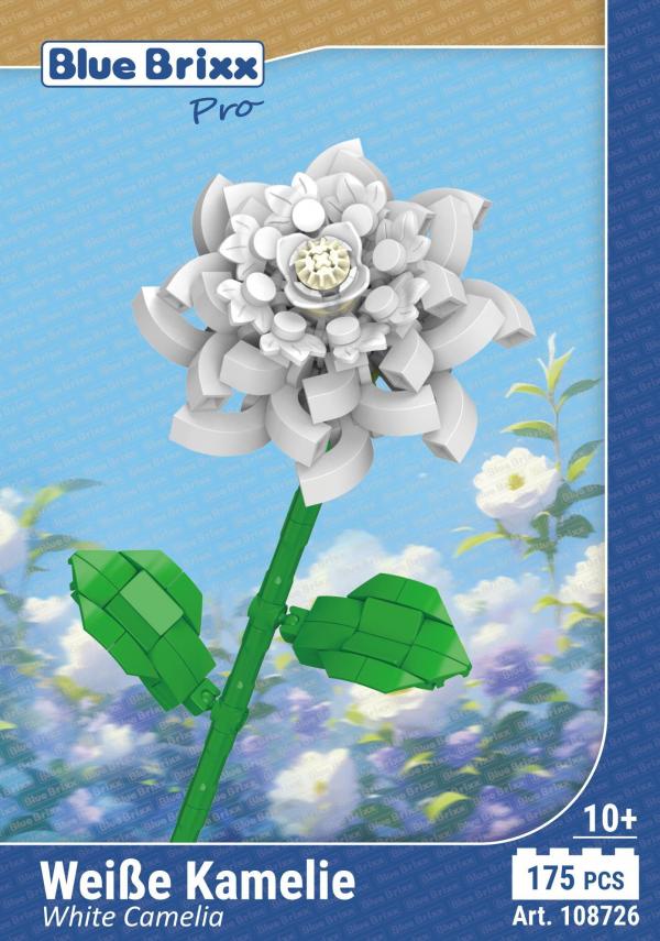 White Camelia 