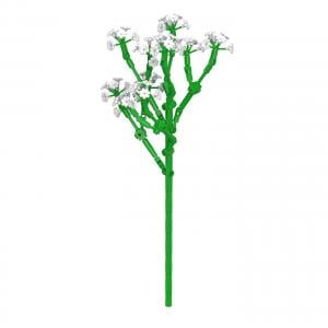 Baby's Breath
