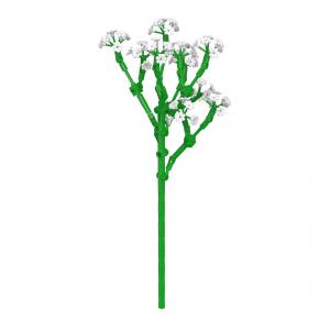 Baby's Breath