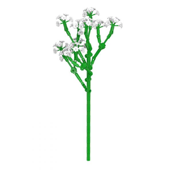 Baby's Breath