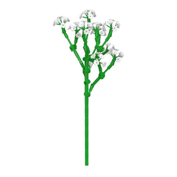 Baby's Breath