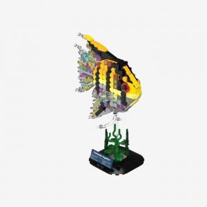 Freshwater Angelfish