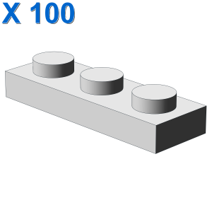 PLATE 1X3 X 100