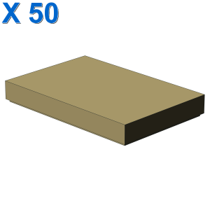 FLAT TILE 2X3 X 50