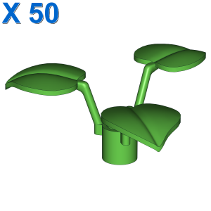 3 Blätter X 50