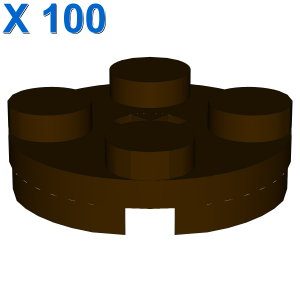 PLATE 2X2 ROUND X 100