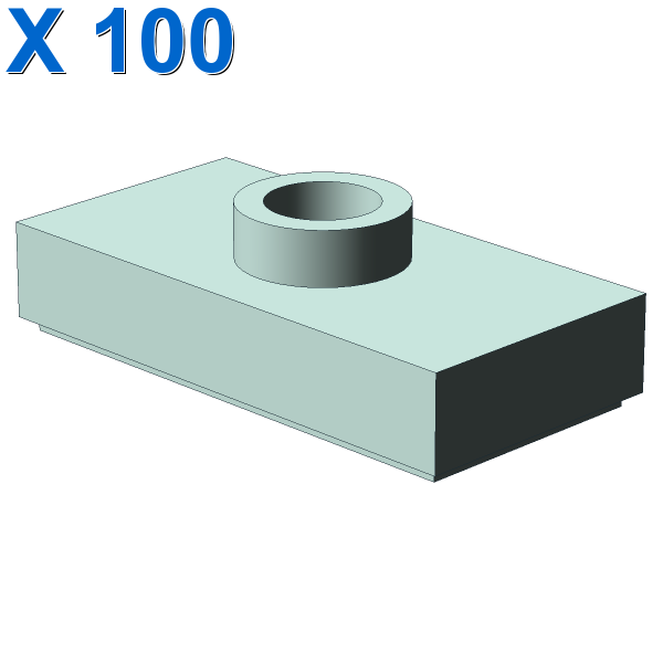 PLATE 1X2, W/ 1 KNOB X 100