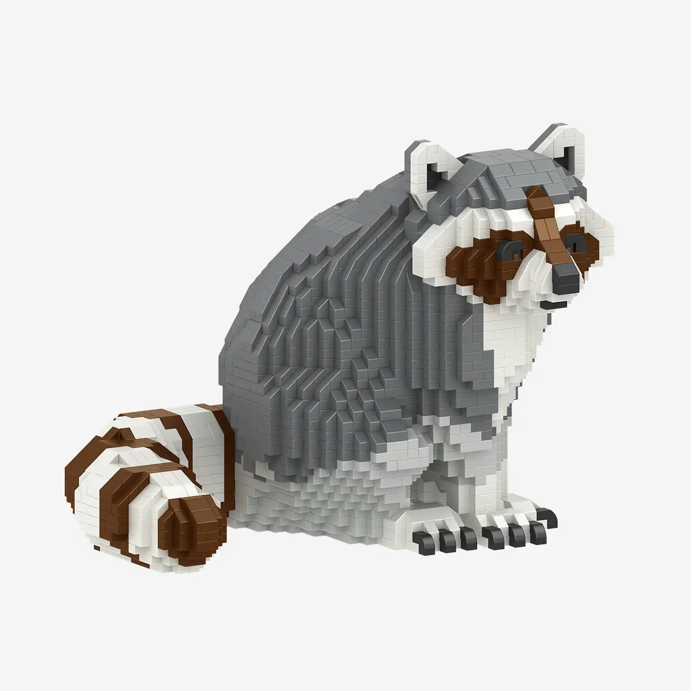 Waschbär