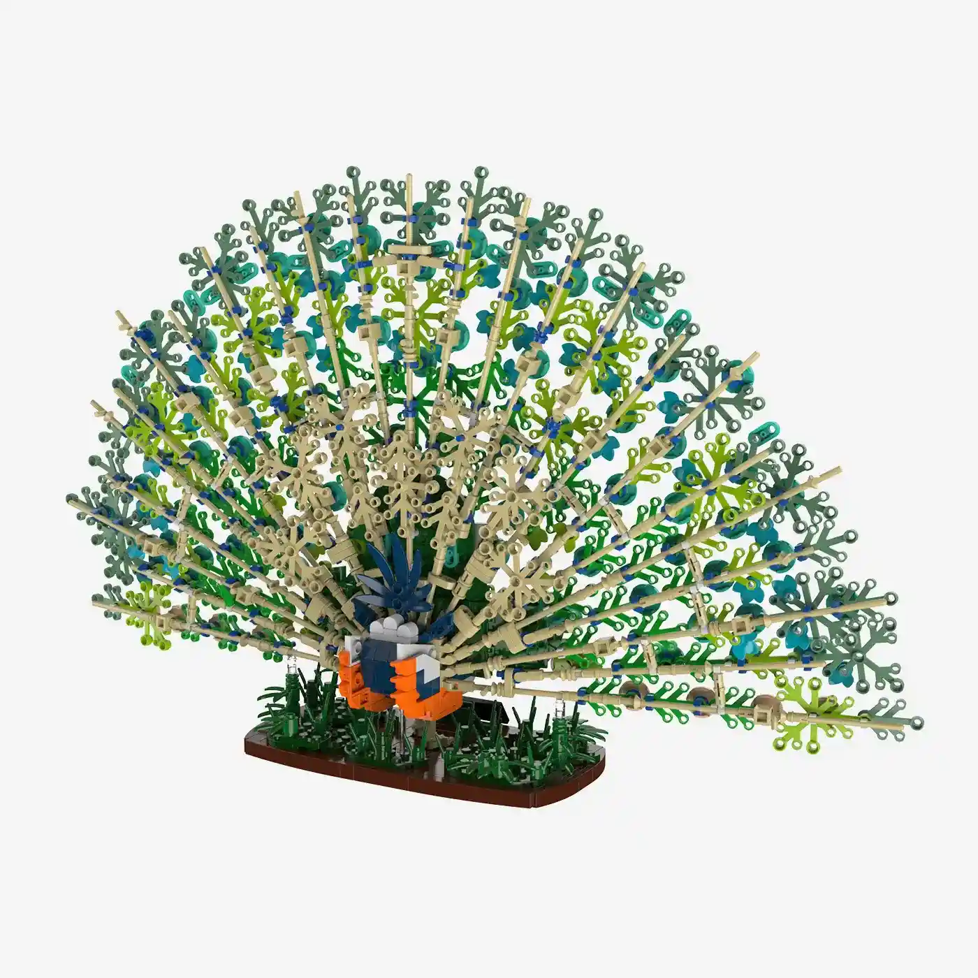 Blauer Pfau