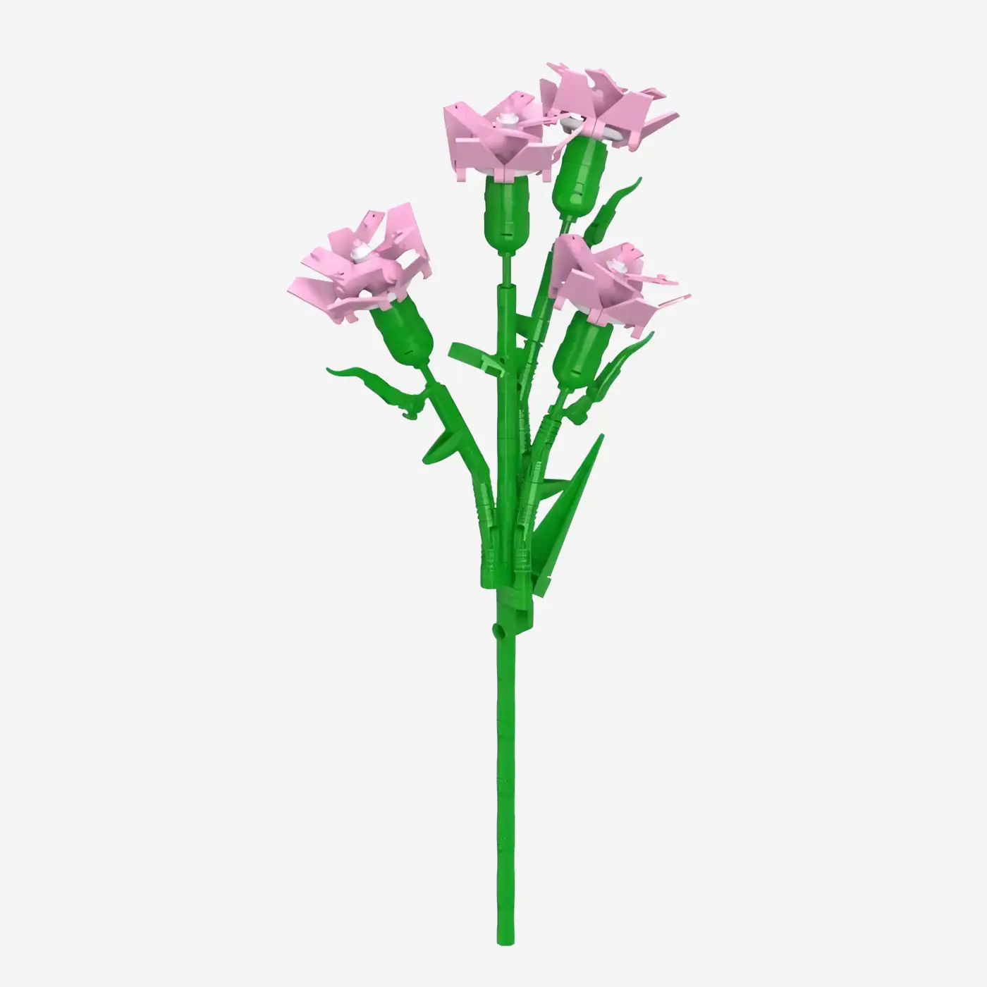Pink Carnation 