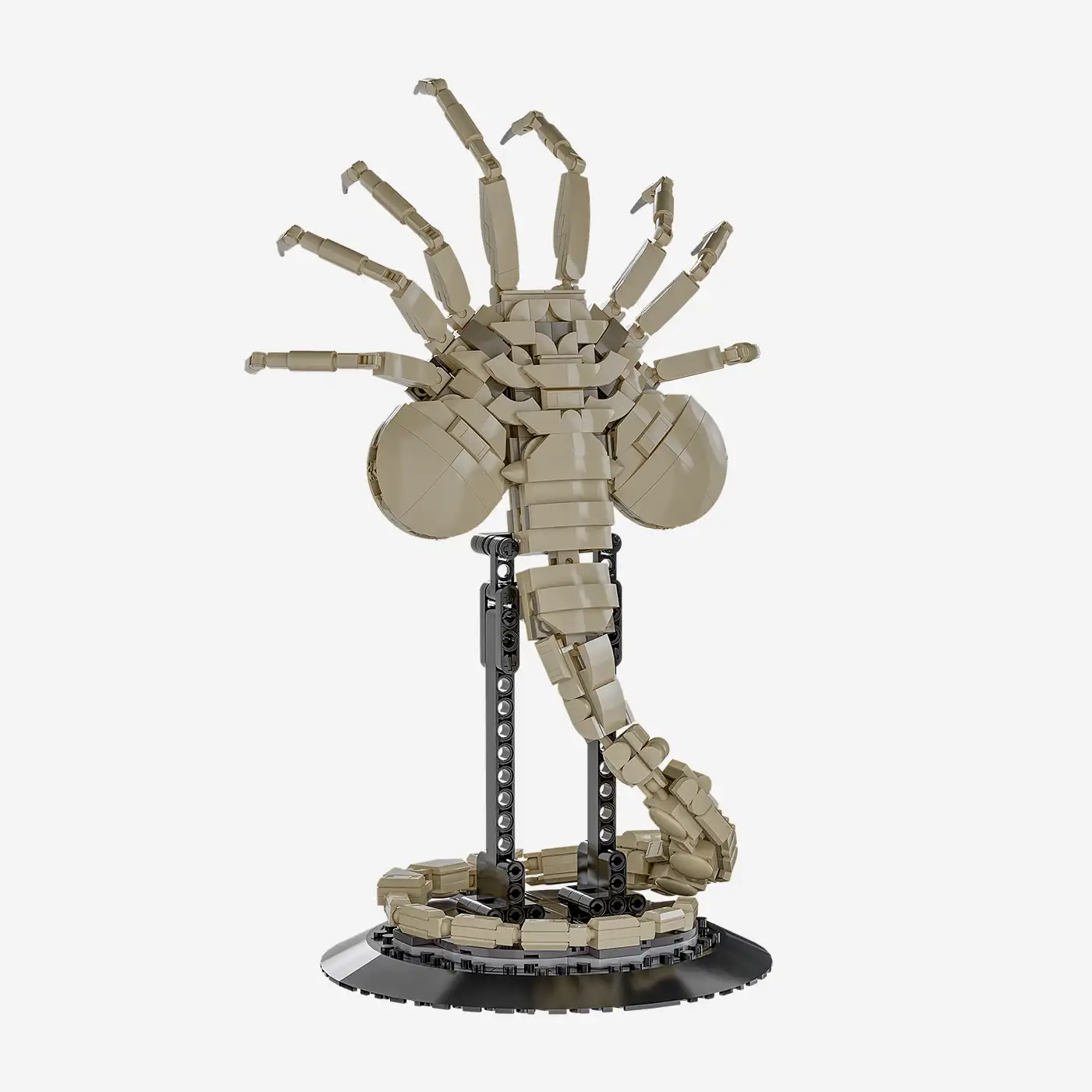 Alien Spider Parasite