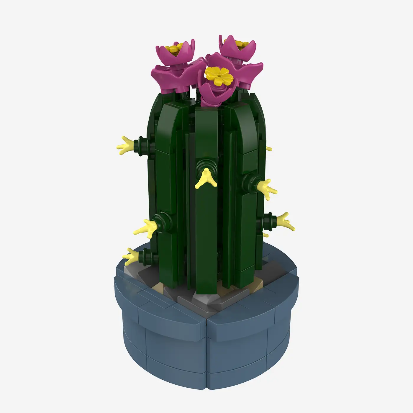 Mini-Säulenkaktus mit rosa Blüten