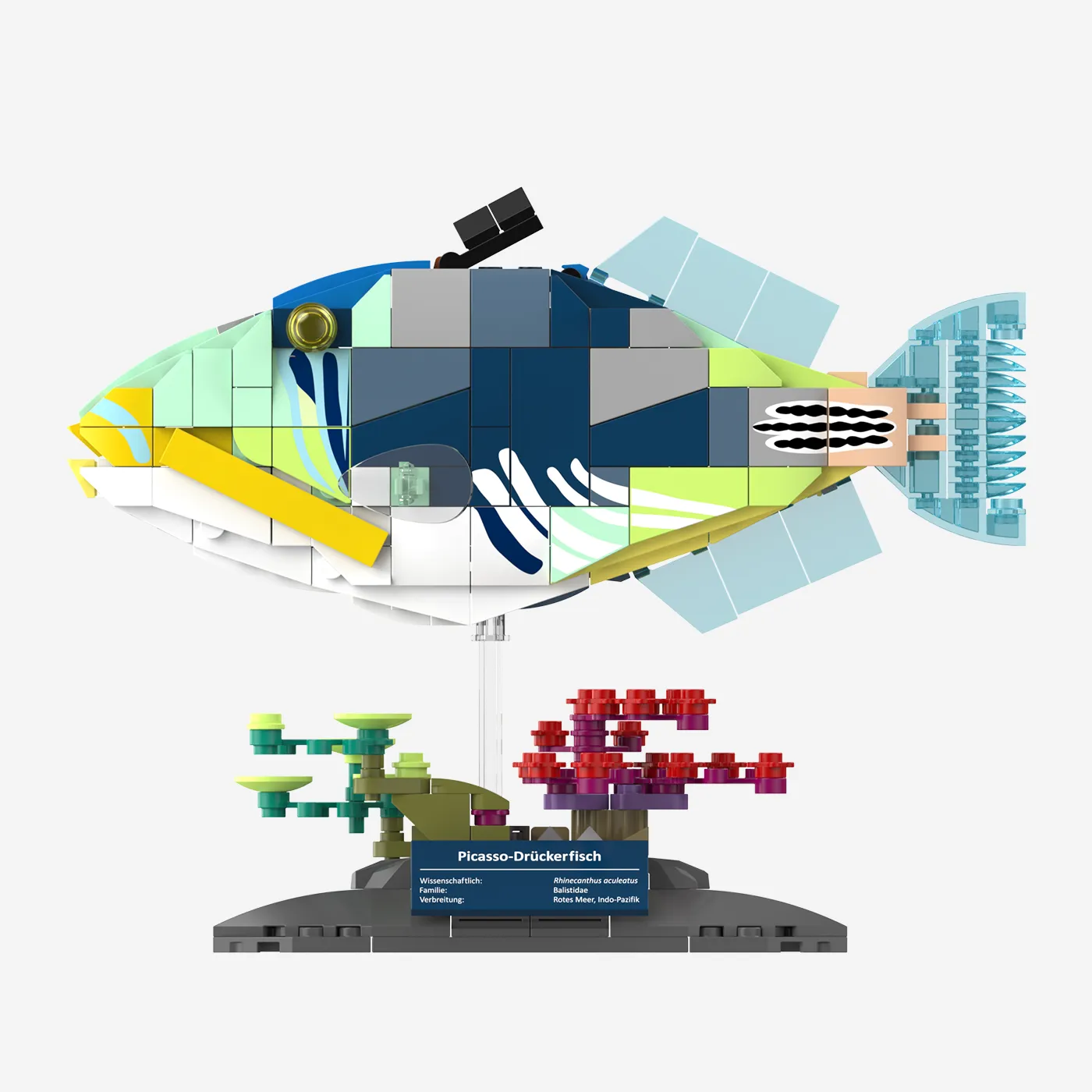 Picasso-Drückerfisch