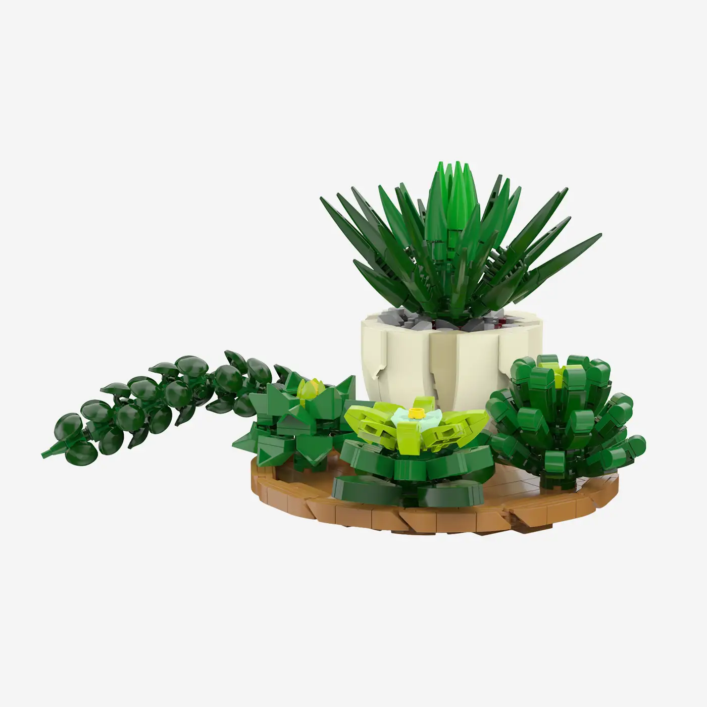 Succulent Mix