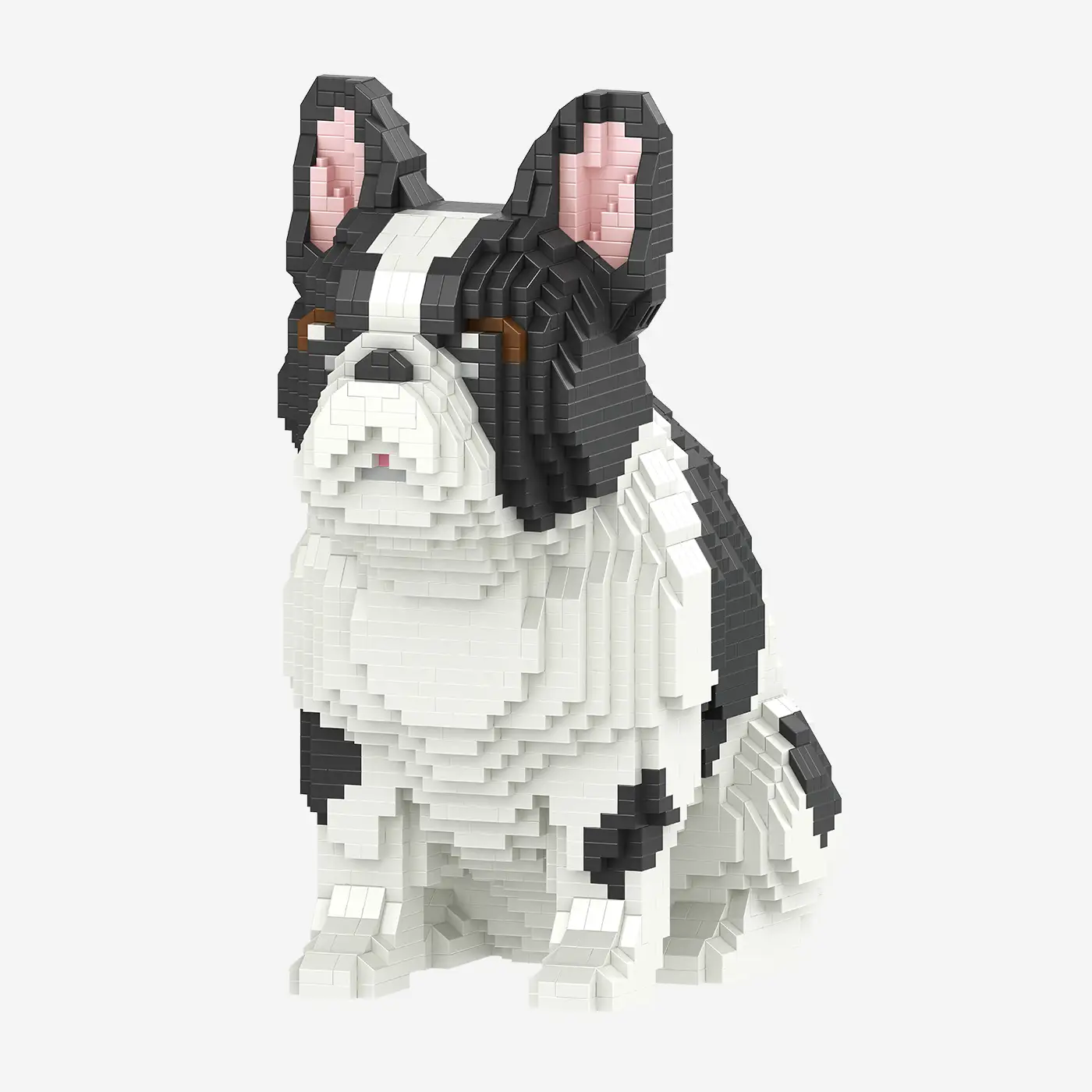 Französische Bulldogge