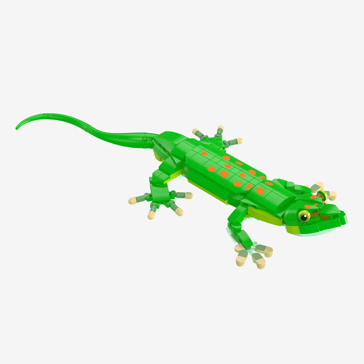 Madagaskar-Taggecko