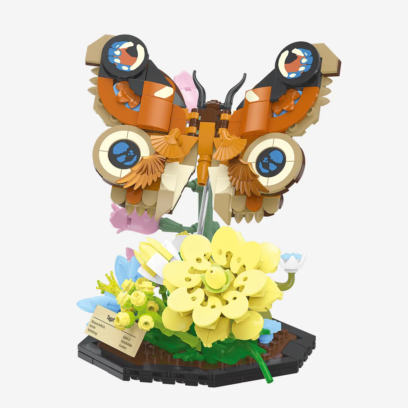 LP小夜子with Big Bang / Butterfly LDC-1047 Buy Peacock Butterfly online | BlueBrixx