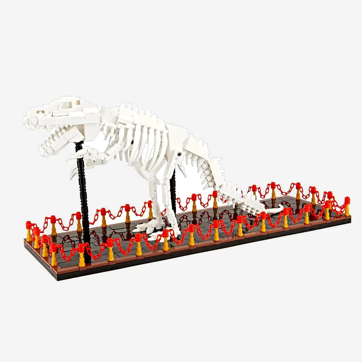 T-Rex Skelett Ausstellungsstück