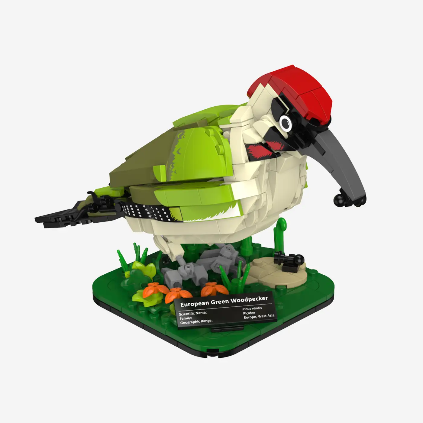 European green woodpecker