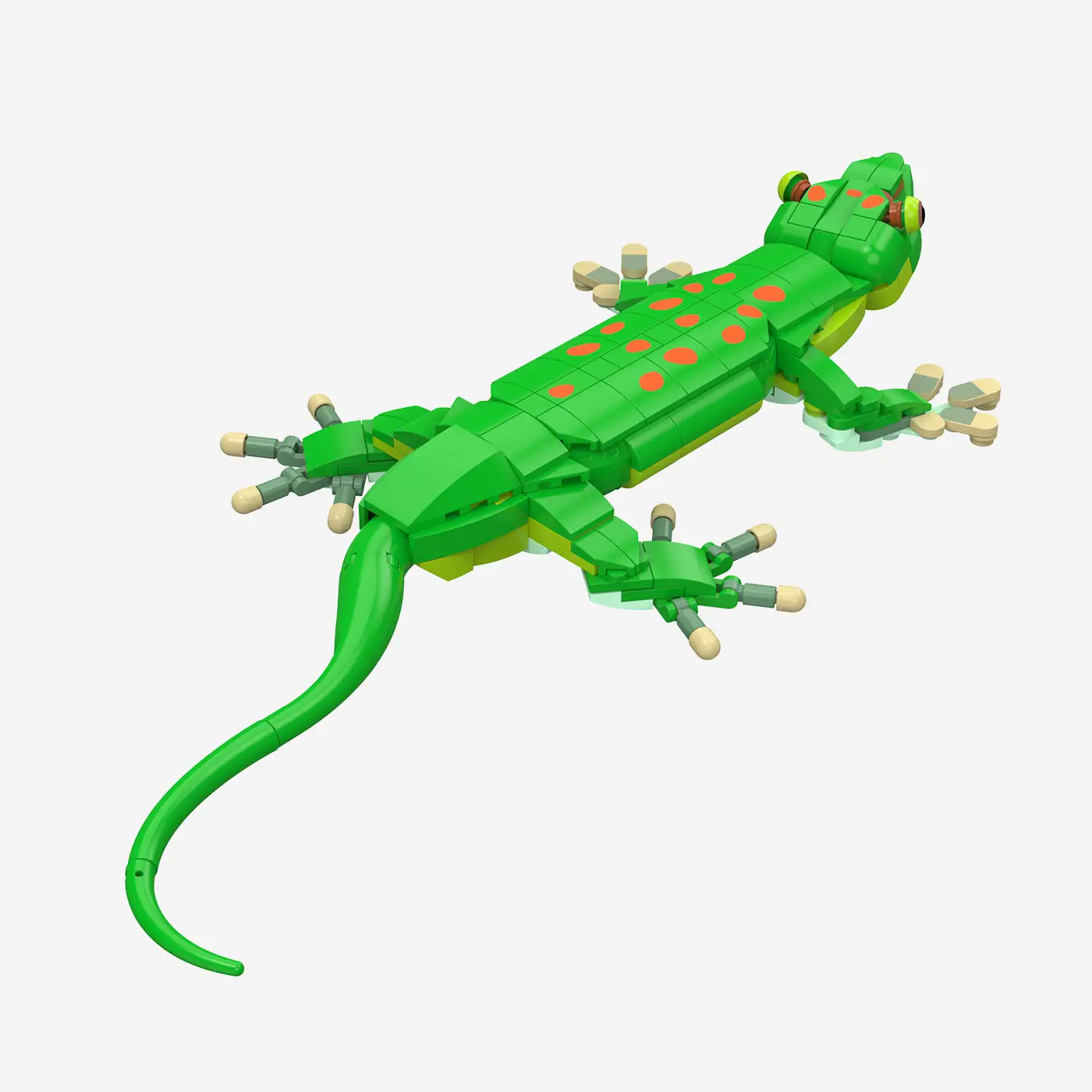 Madagaskar-Taggecko