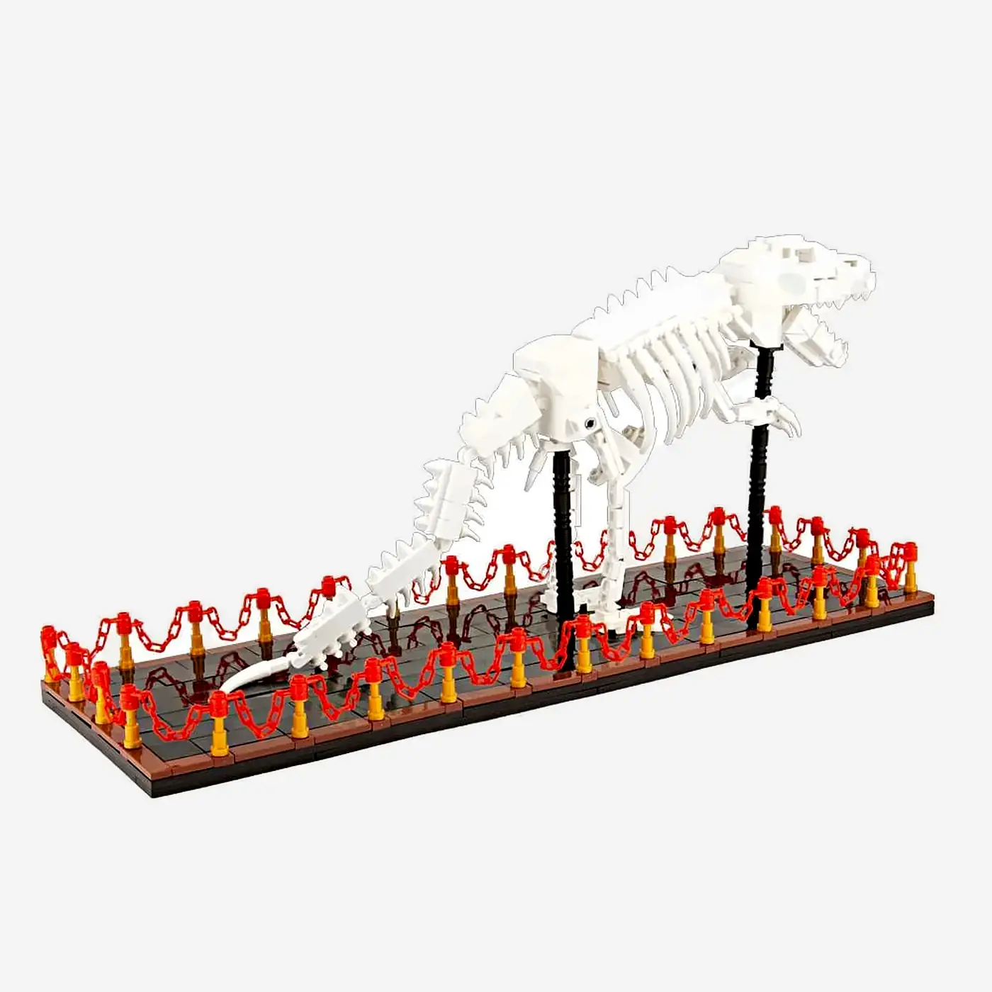 T-Rex Skelett Ausstellungsstück