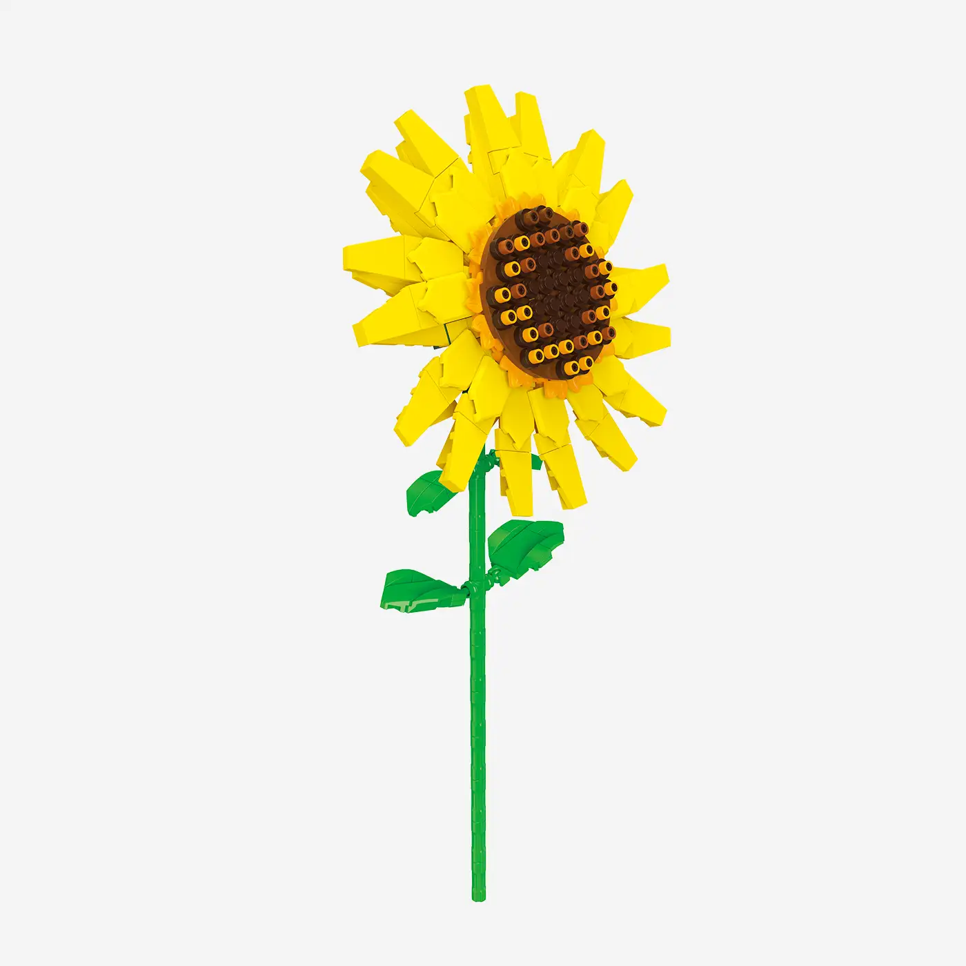 Sonnenblume