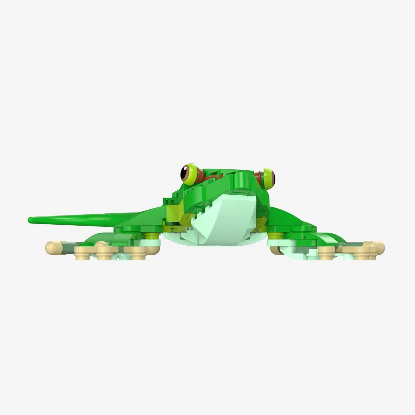 Madagaskar-Taggecko