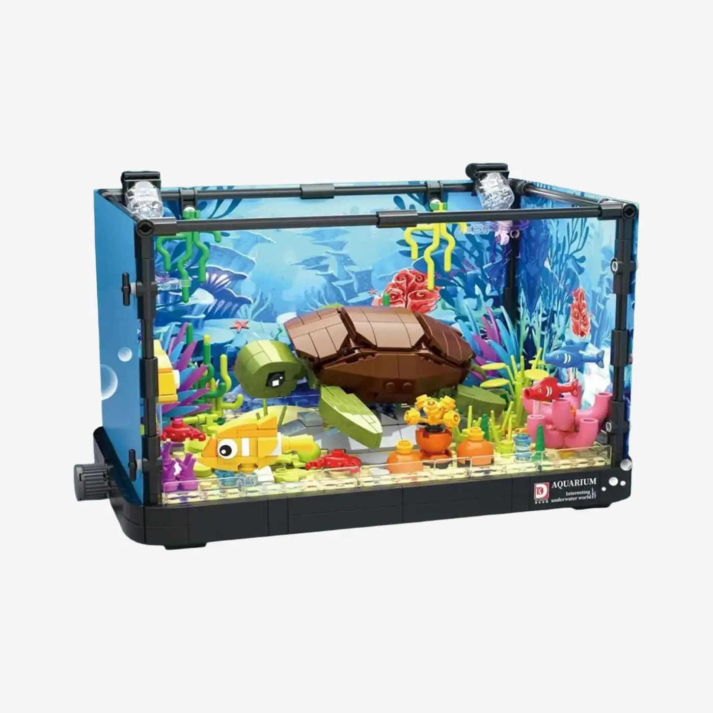 Aquarium: Schildkröte