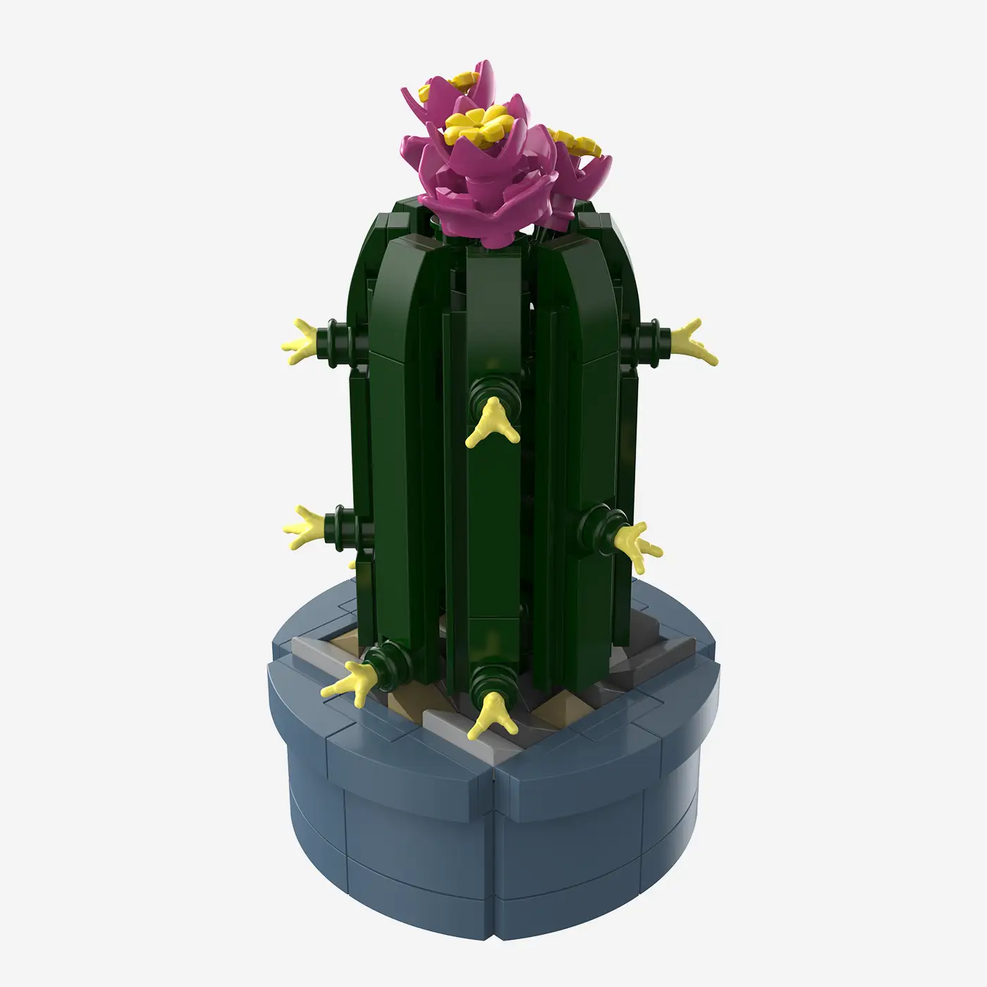 Mini-Säulenkaktus mit rosa Blüten