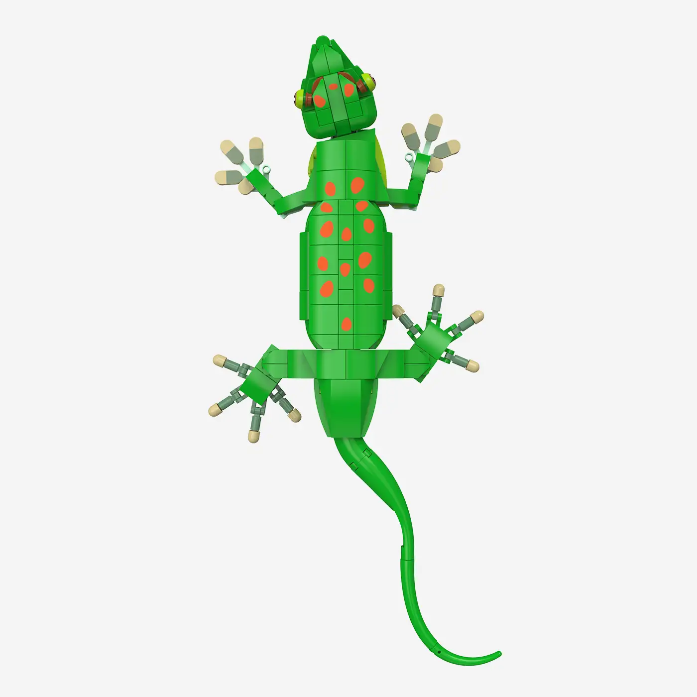 Madagaskar-Taggecko