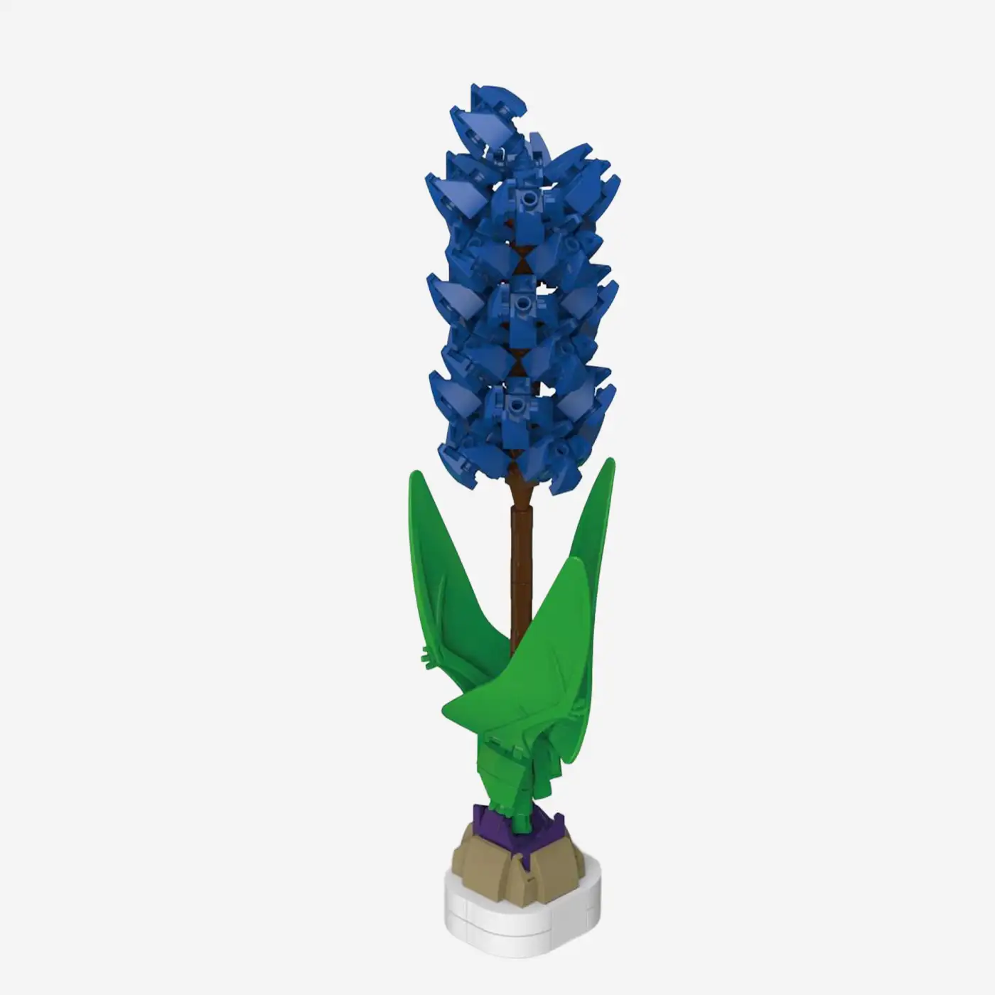 Blue Hyacinth 