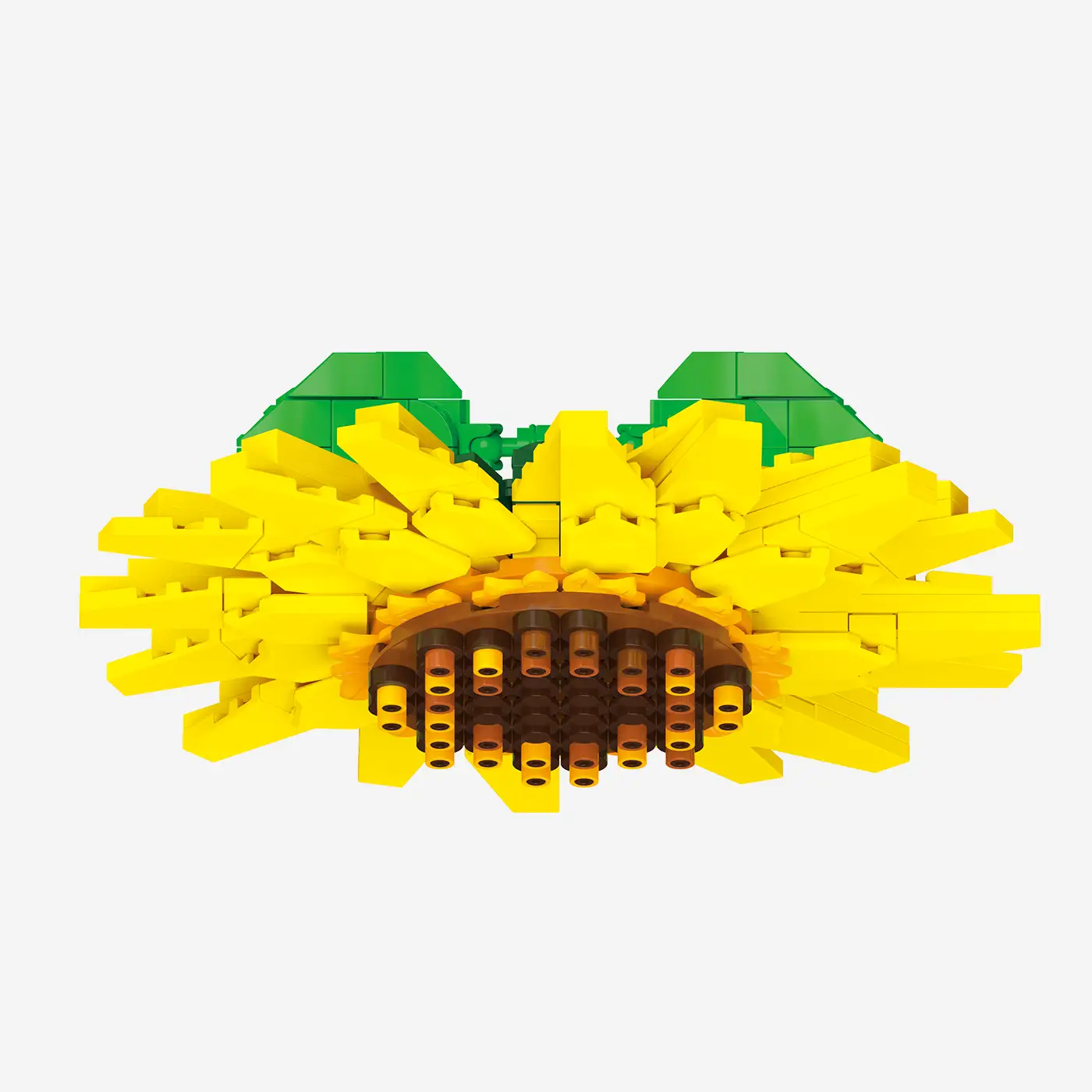 Sonnenblume