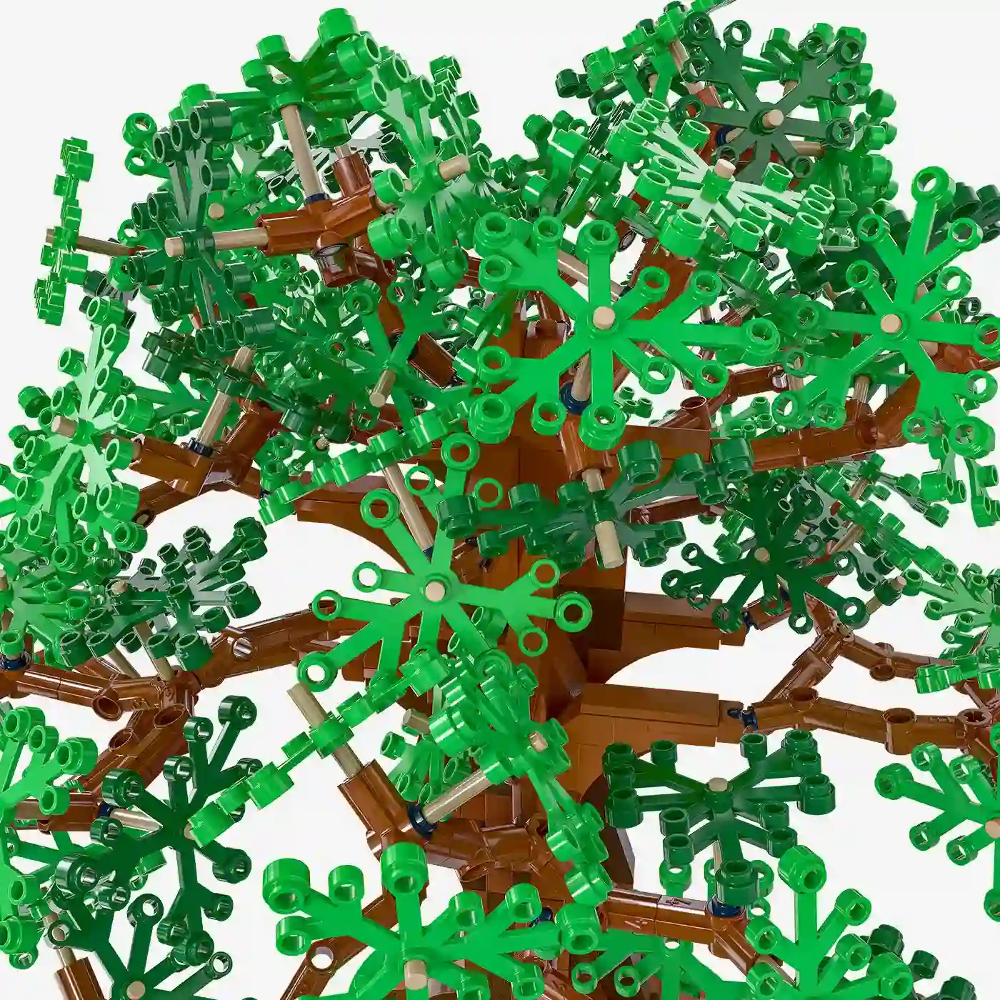 Buy Oak tree online | BlueBrixx