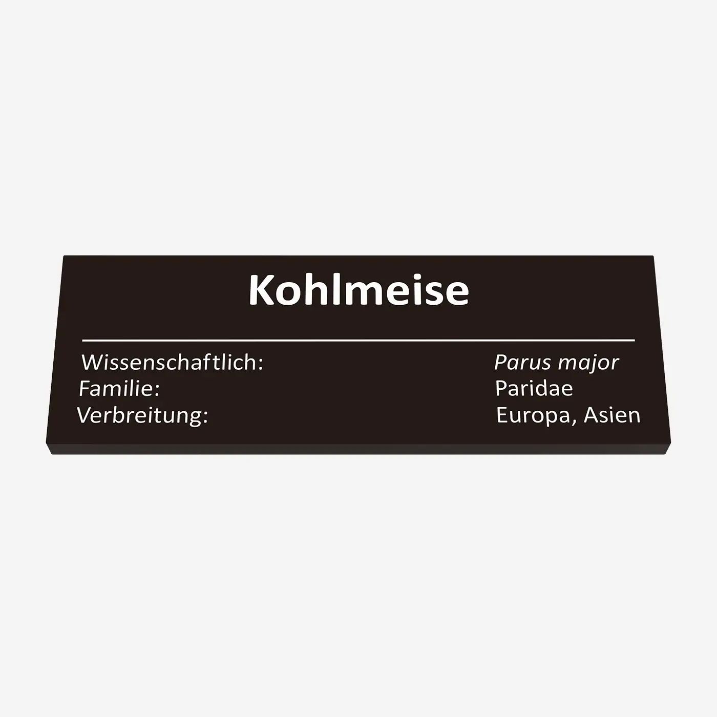 Kohlmeise