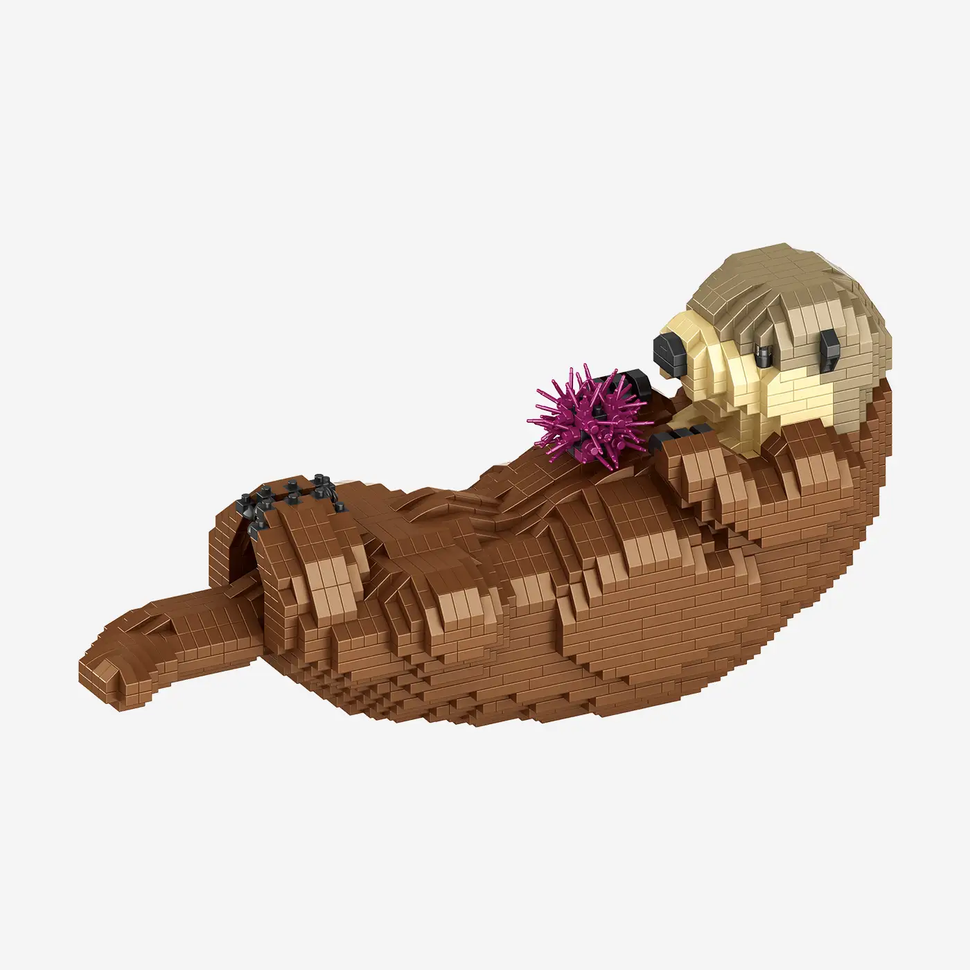 Seeotter