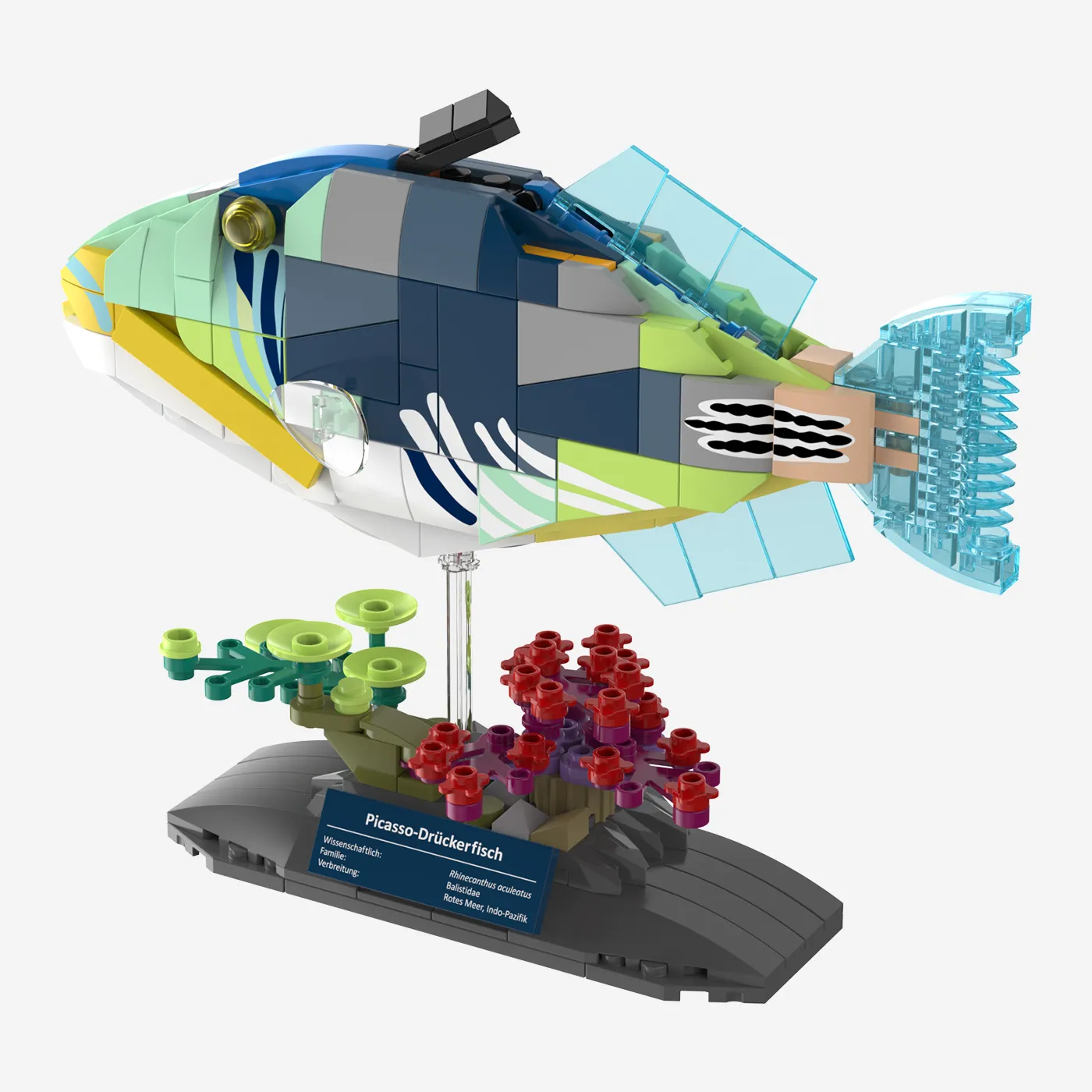 Picasso-Drückerfisch