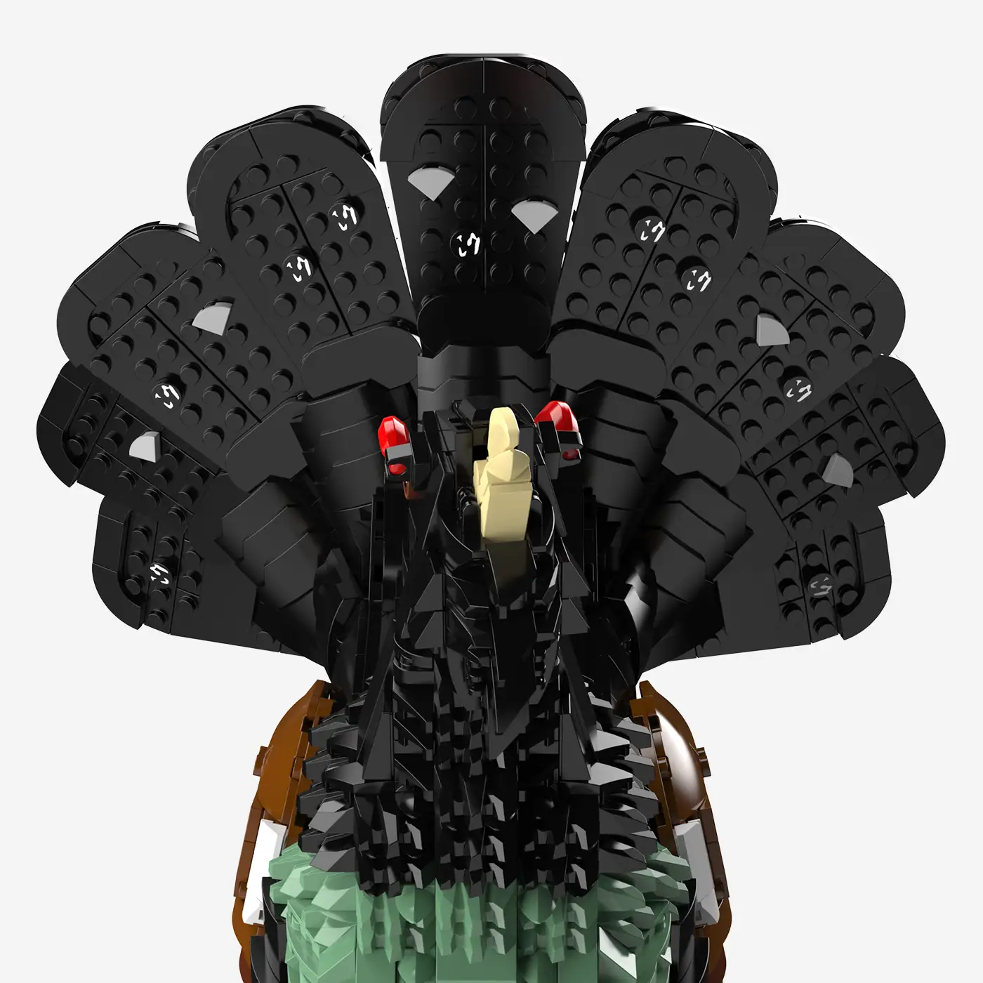 Western Capercaillie