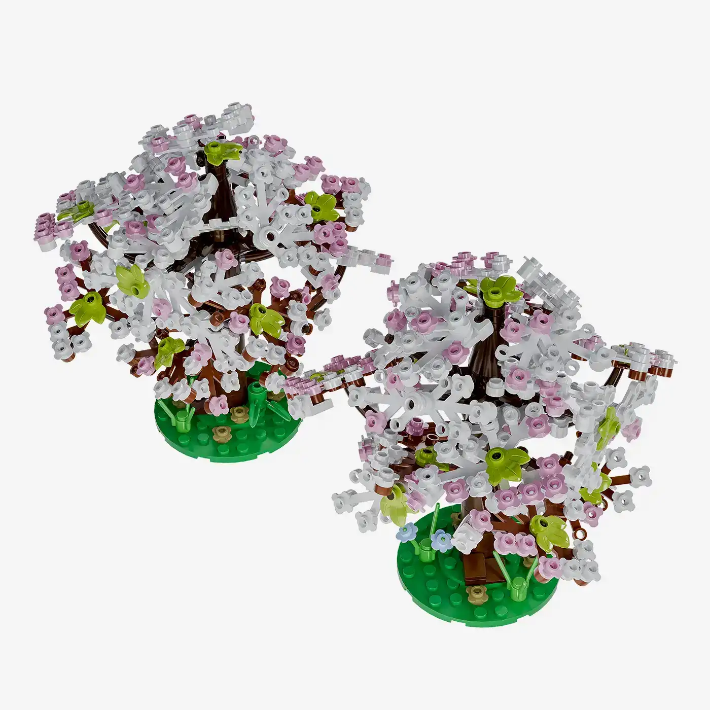 Cherry trees in spring, set of 2
