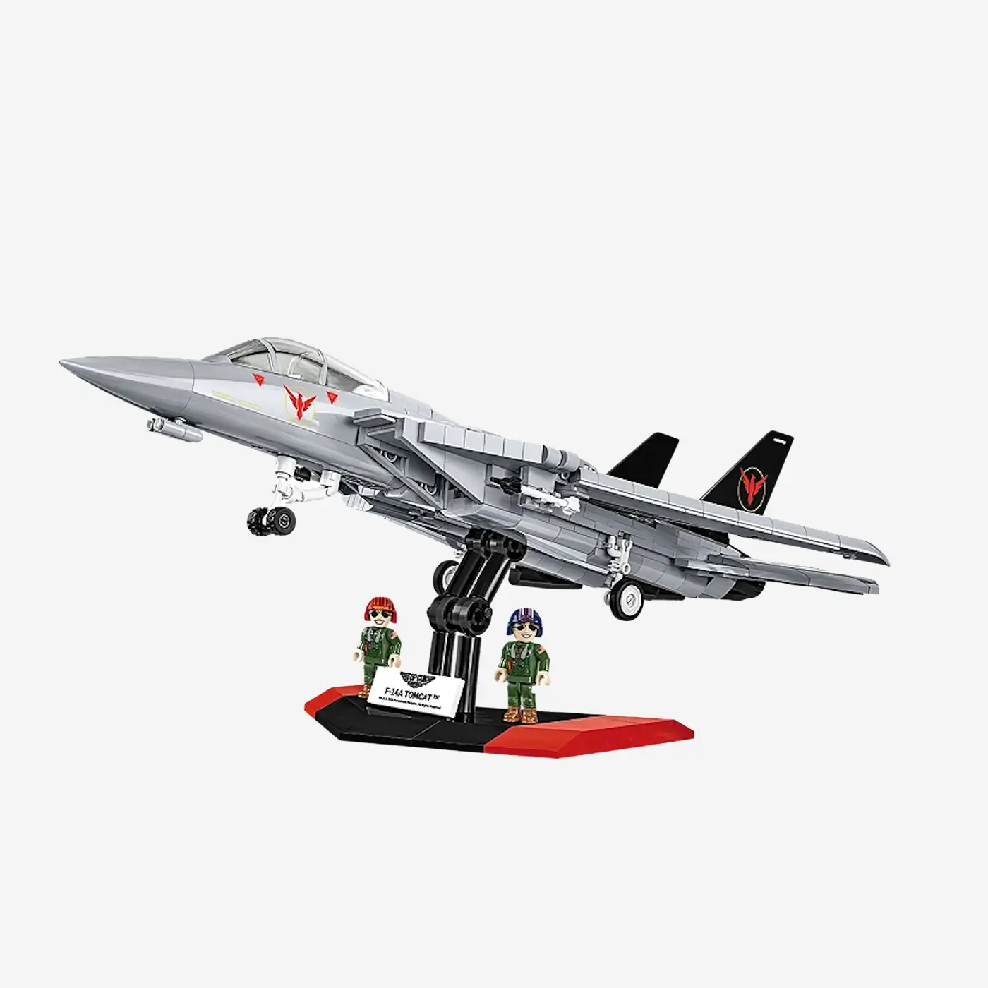Grumman F-14 Tomcat
