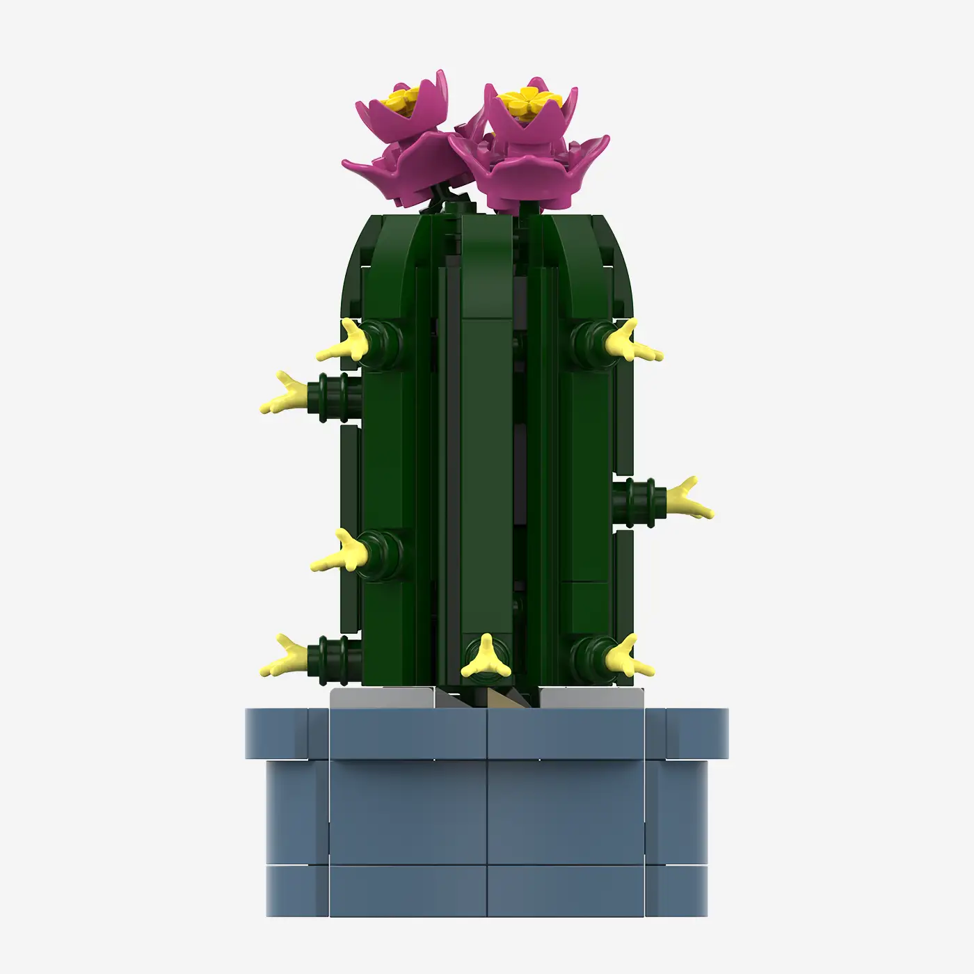 Mini-Säulenkaktus mit rosa Blüten
