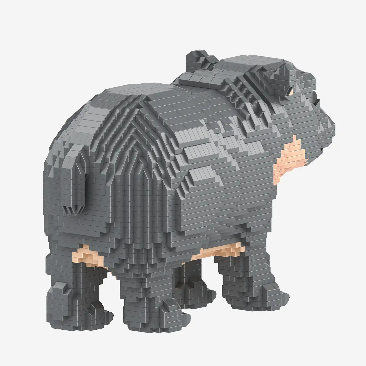 Nilpferdbaby