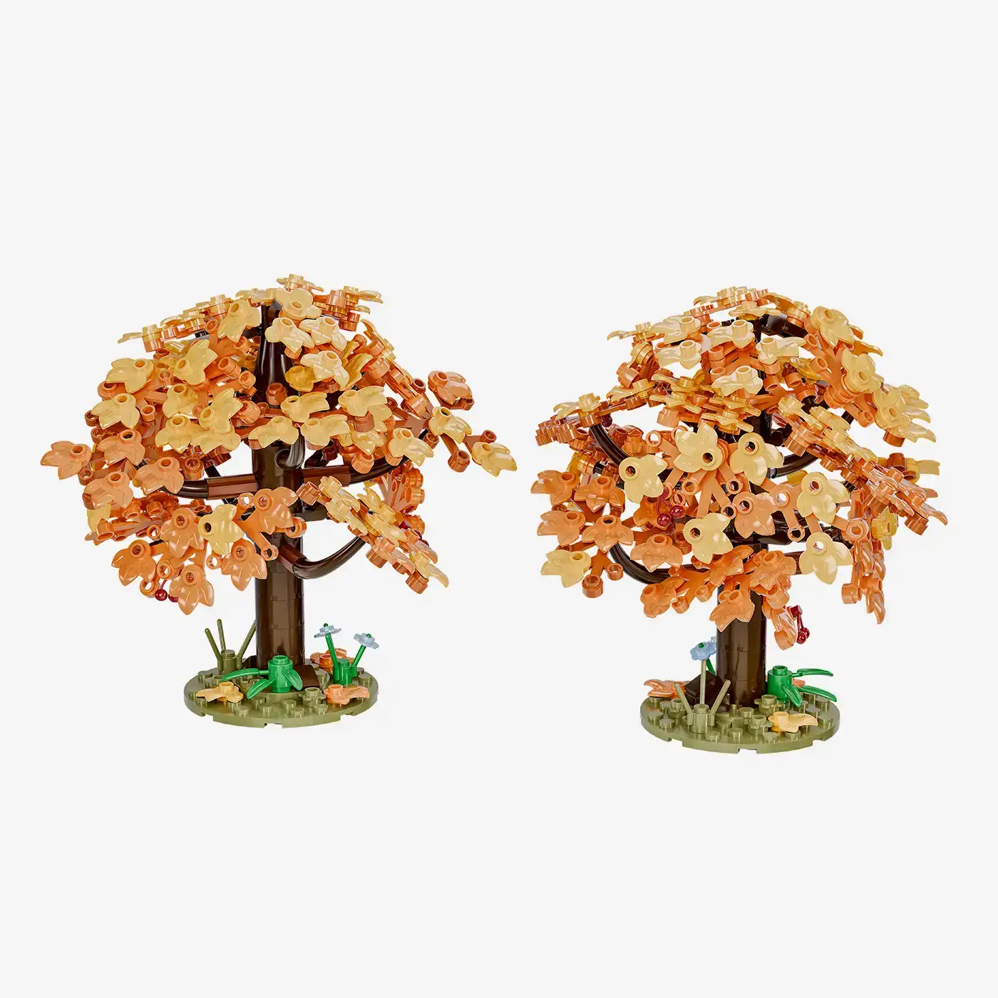 Kirschbäume im Herbst, 2er-Set