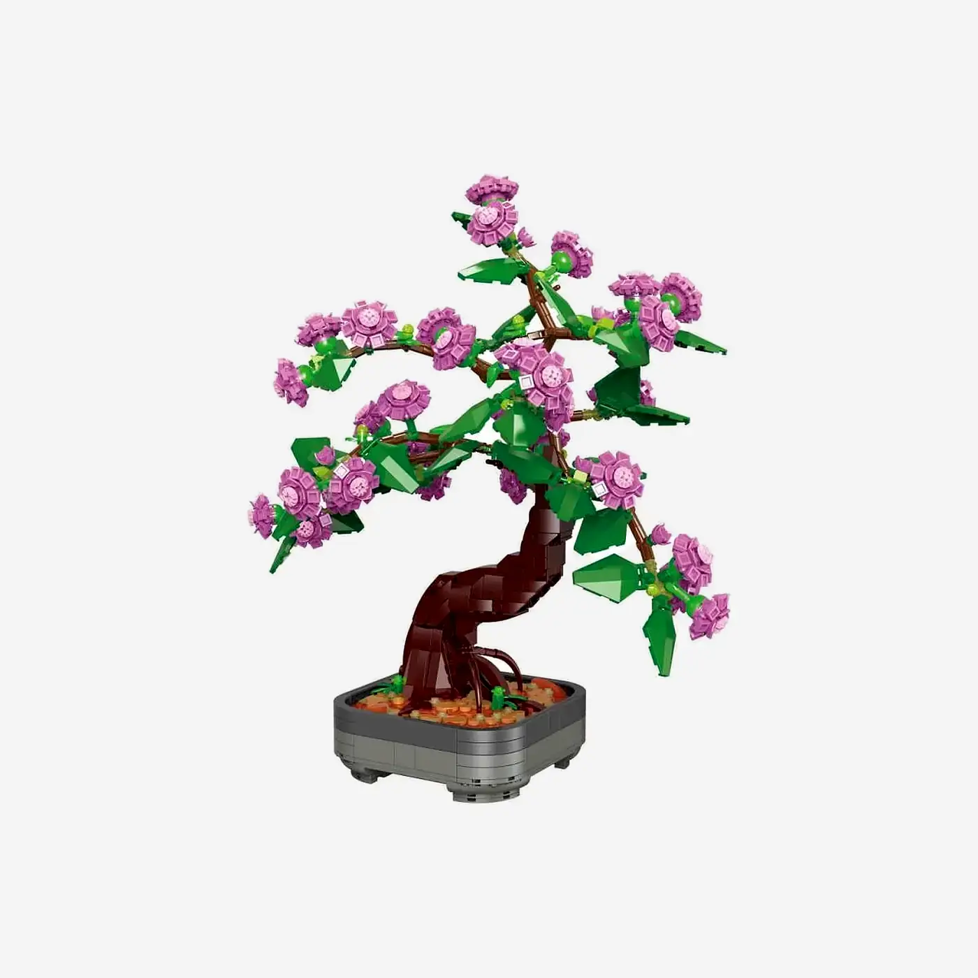 Blooming Bonsai Blooming Bonsai