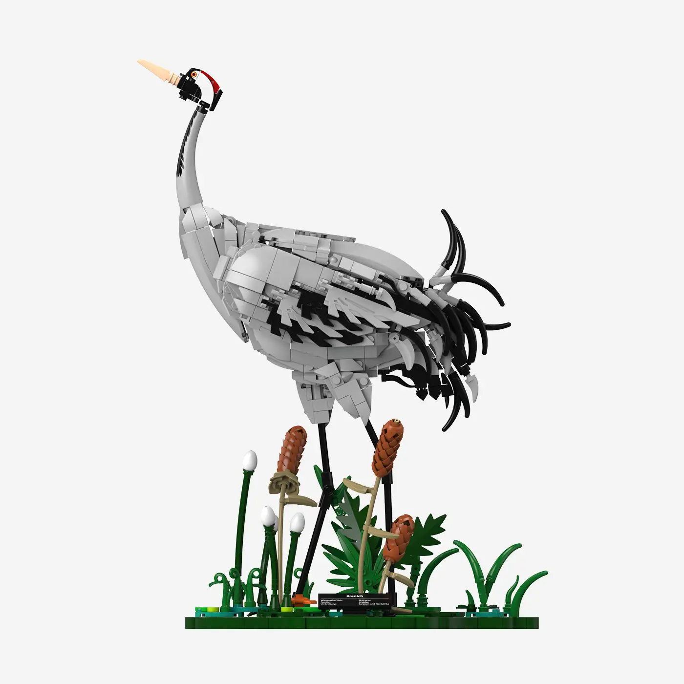 Common Crane