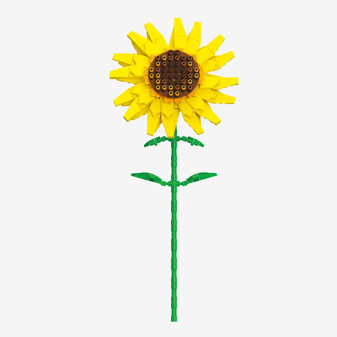 Sonnenblume