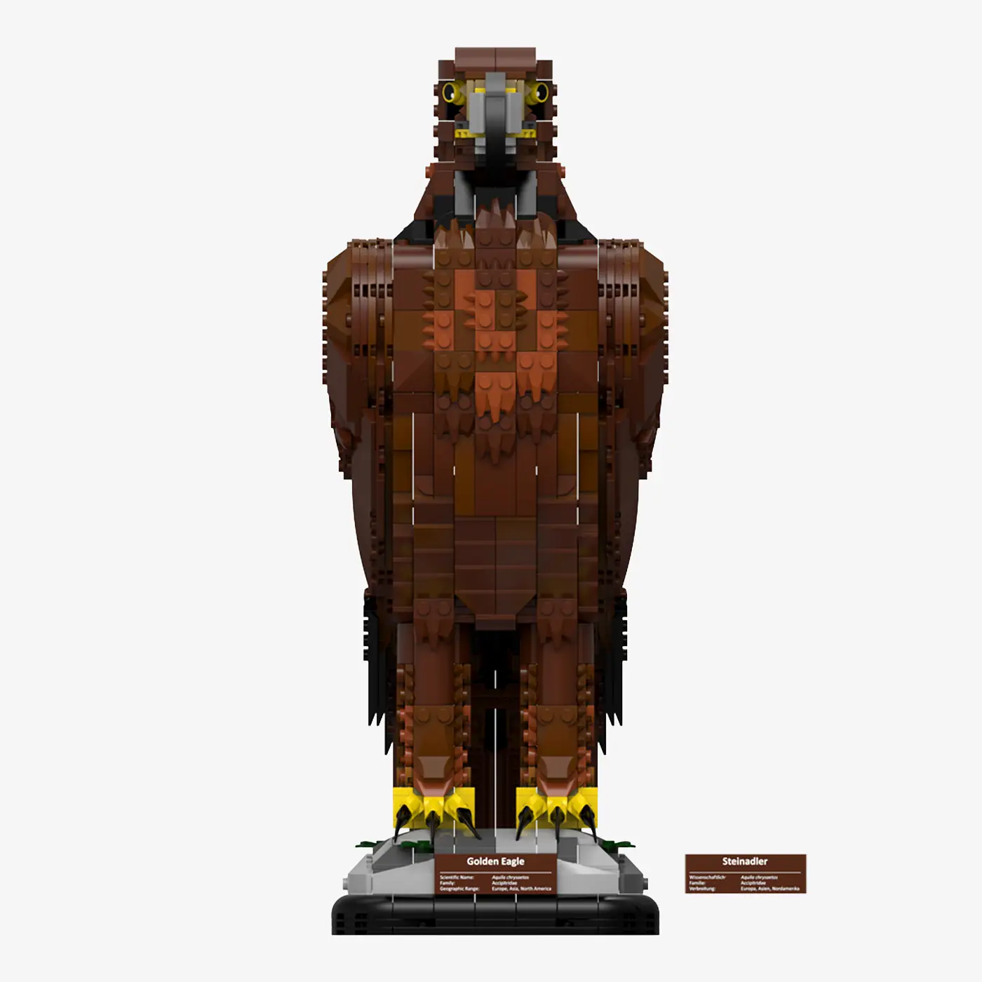 Golden Eagle