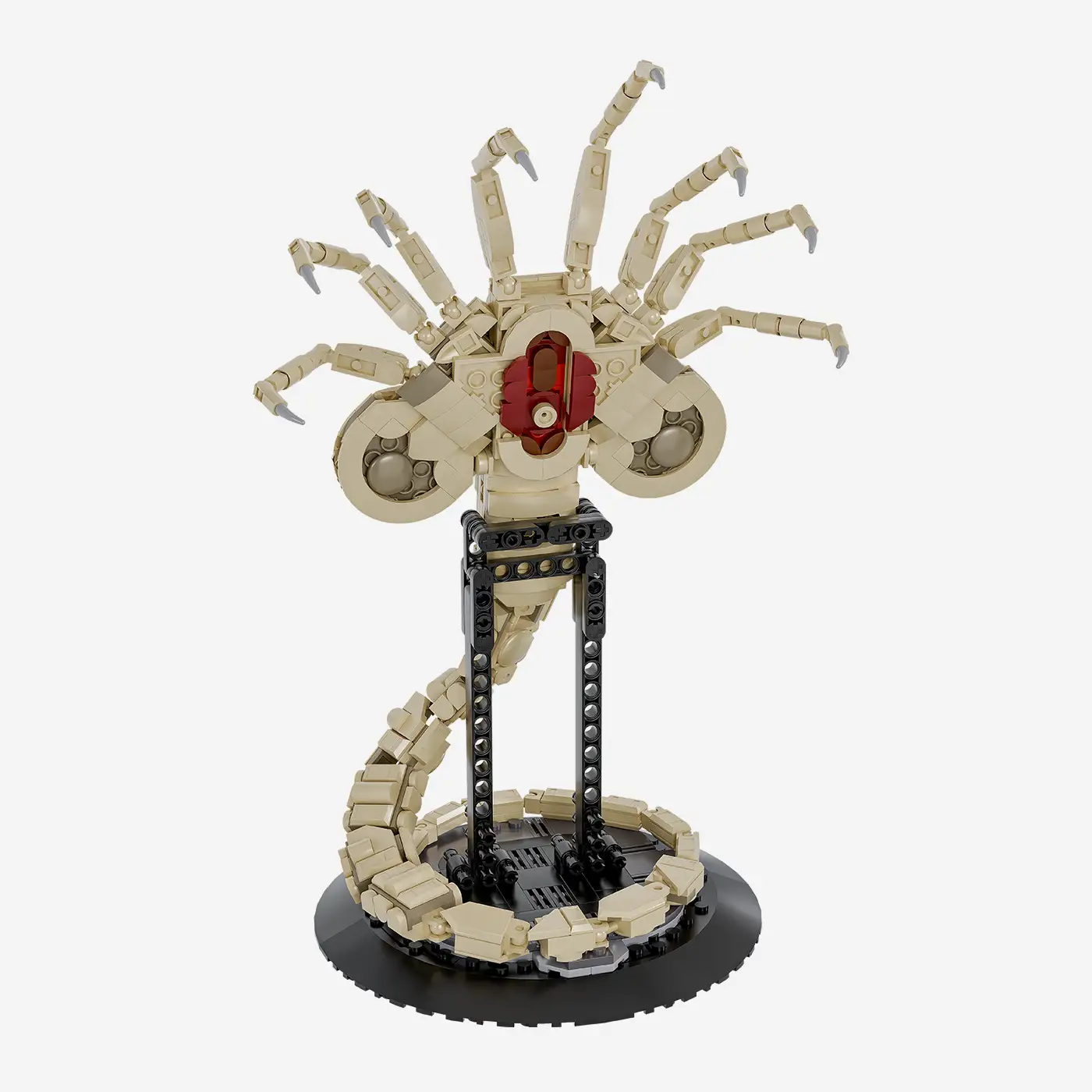 Außerirdischer Spinnenparasit