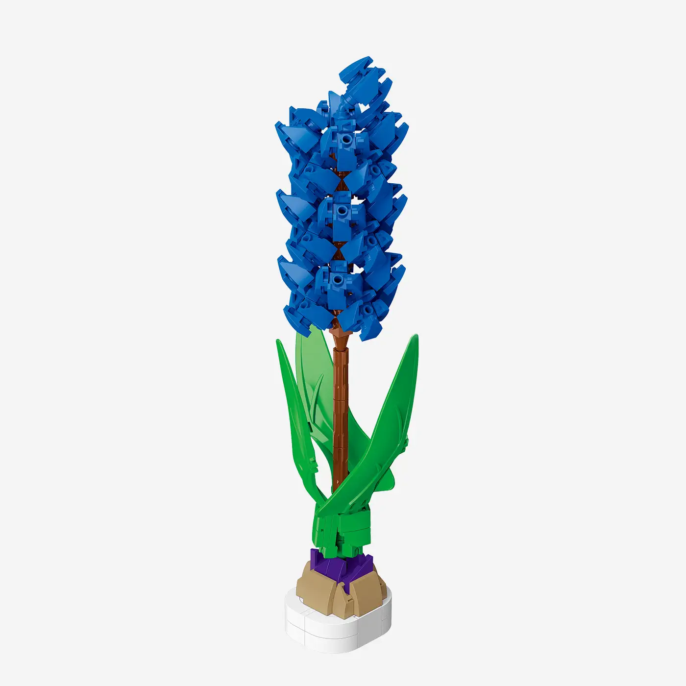 Blaue Hyazinthe