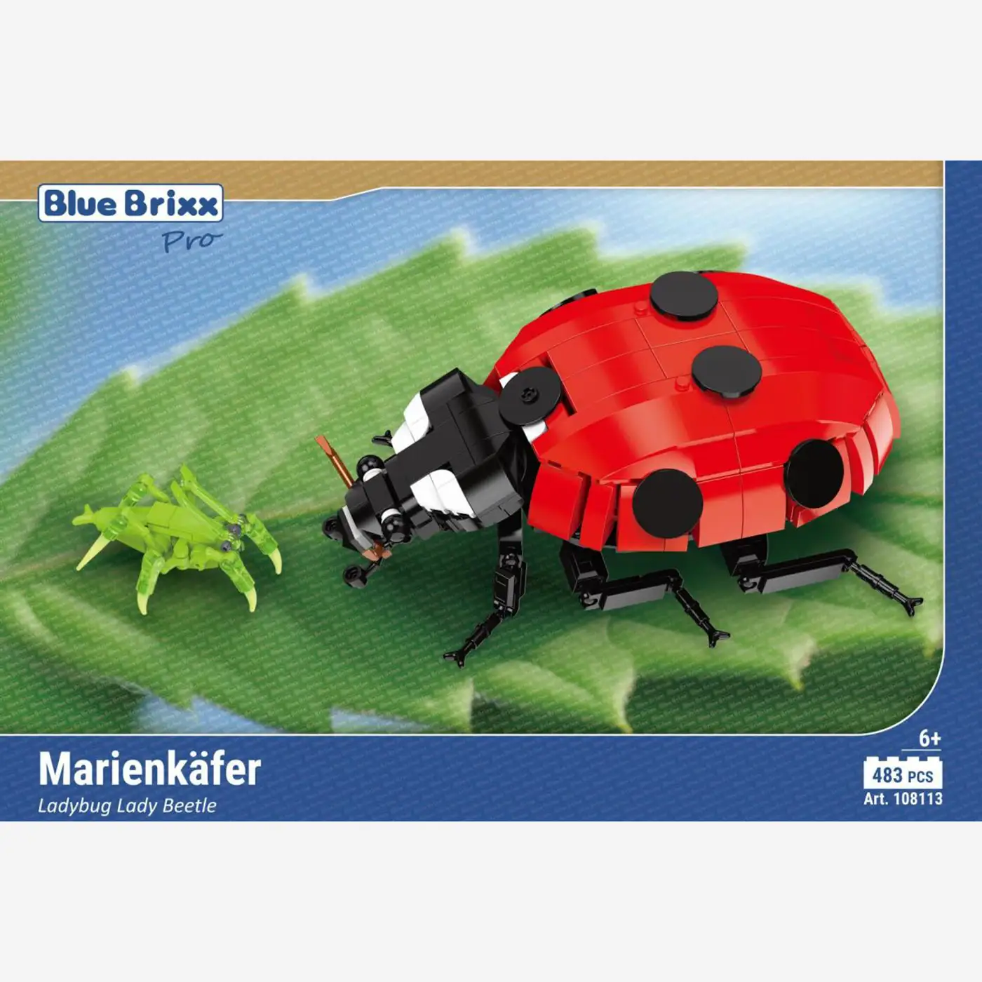 Marienkäfer