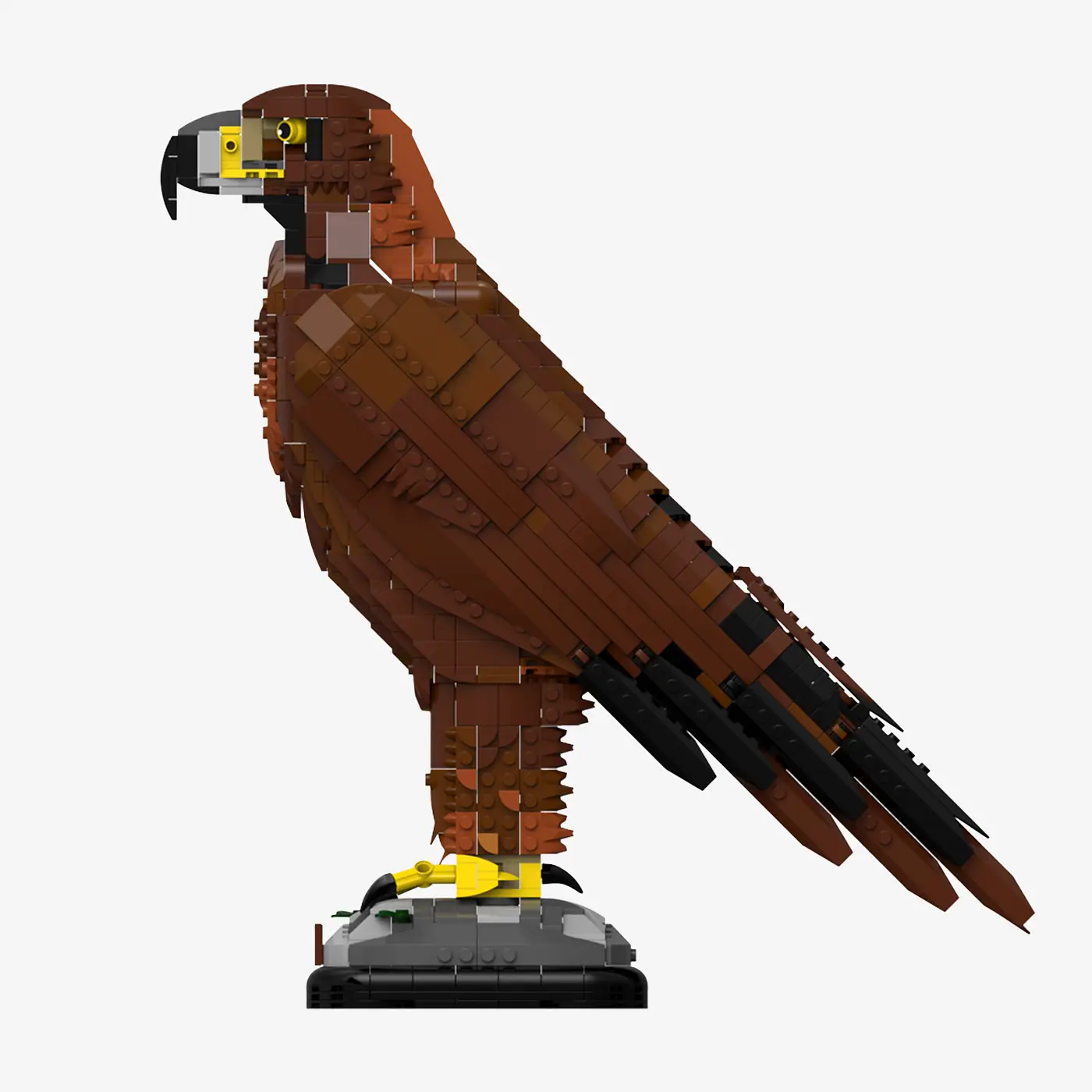 Golden Eagle